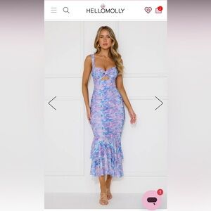 Hello Molly Missy Mesh Maxi Dress